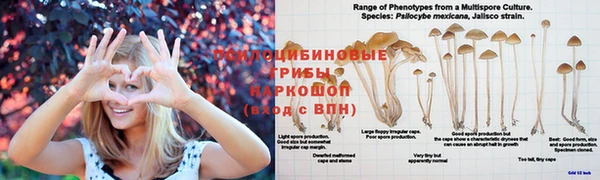 jwh Баксан